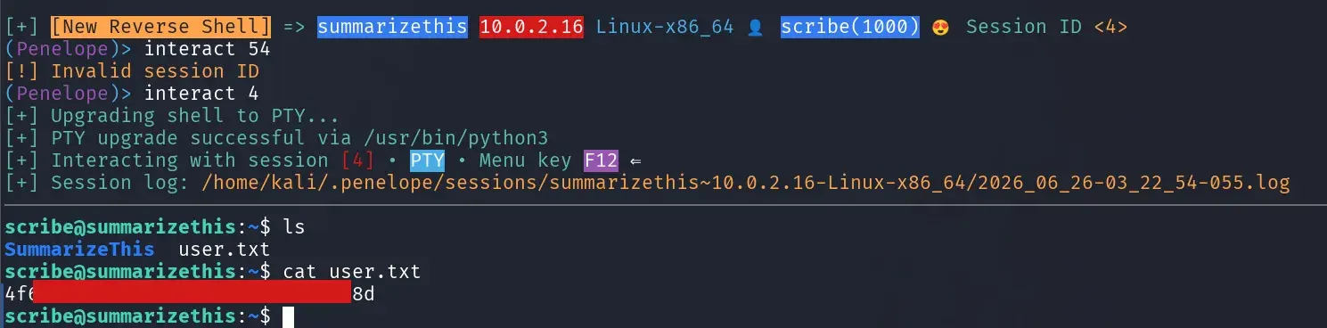 Shell as scribe and retrieval of the user flag