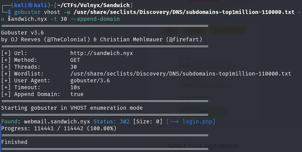 subdomain fuzz